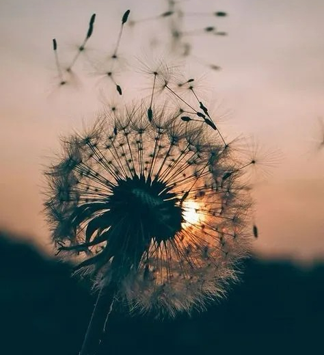 Sanjana Chauhan: Million Dollar&nbsp;Advice